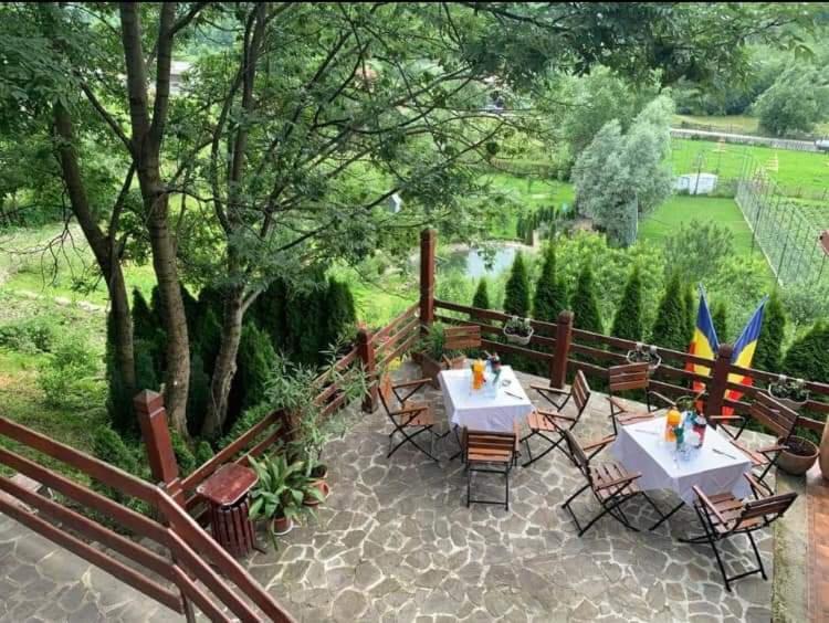 Doftana Apartaments Teşila Exteriör bild