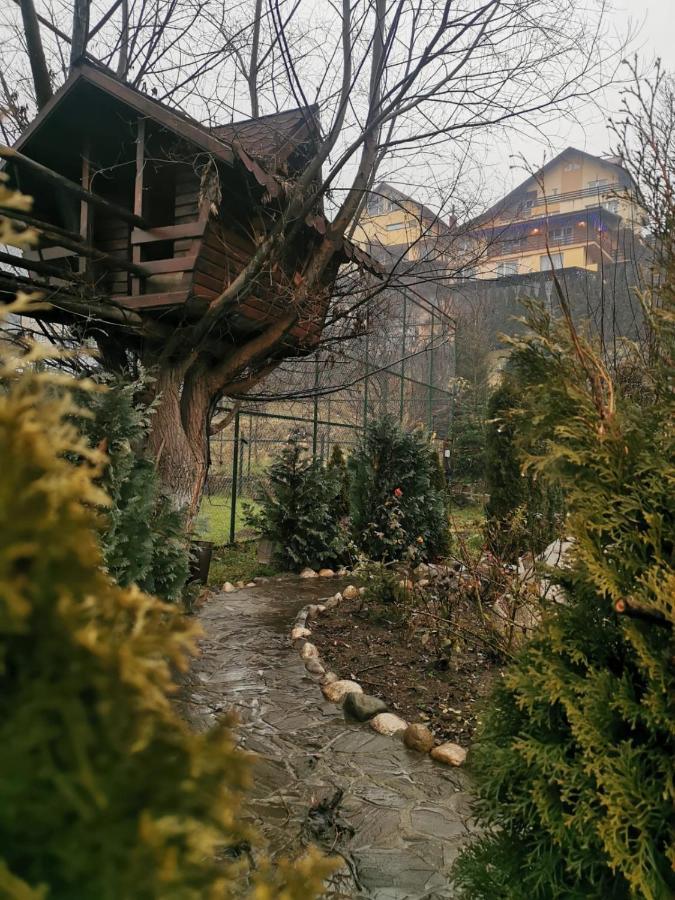 Doftana Apartaments Teşila Exteriör bild