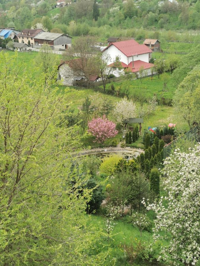 Doftana Apartaments Teşila Exteriör bild