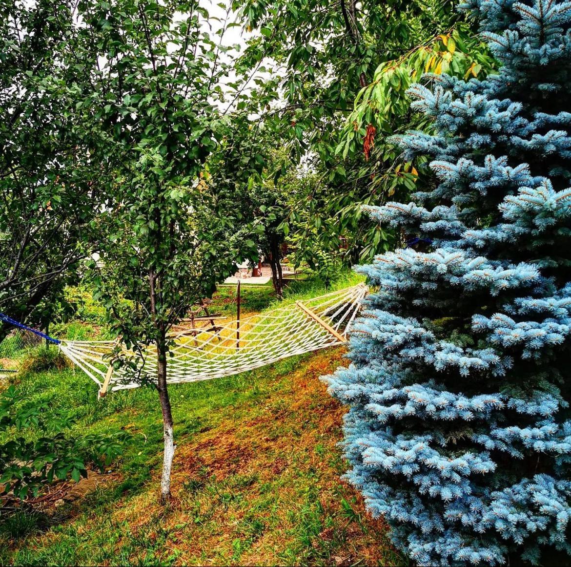 Doftana Apartaments Teşila Exteriör bild