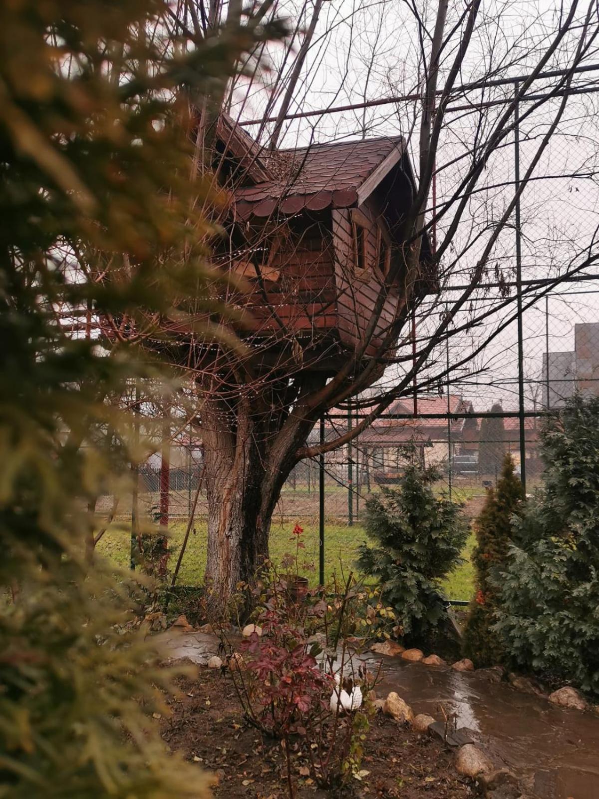 Doftana Apartaments Teşila Rum bild