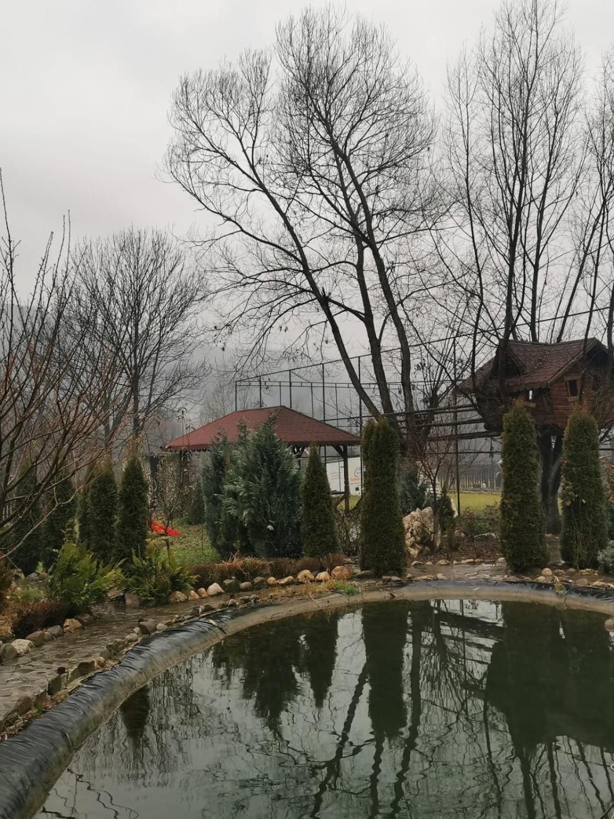 Doftana Apartaments Teşila Rum bild